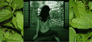 Menta