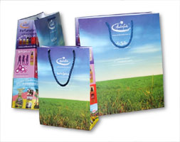 bolsas-papel-ambientalis