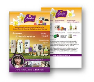 folleto-10x15-ambientalis