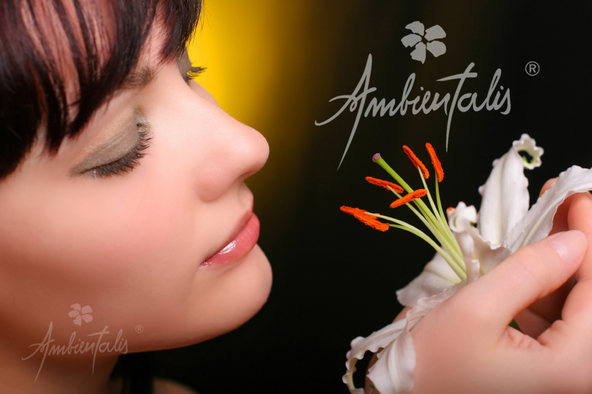 ambientalis un mundo de aromas fabrica de aromas venta por mayor