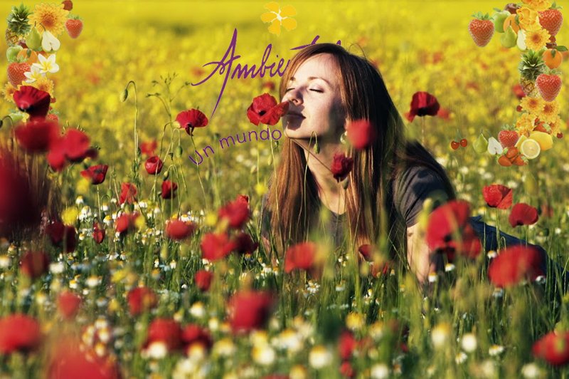 ambientalis-imagen-blog-aromas aromatizadores de ambientes venta mayorista fabricante de aromas fragancias desodorizadores
