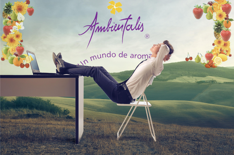 ambientalis-imagen-blog-descansar Aromas para ambientes Desodorizadores digitales Fabrica de fragancia Venta mayorista