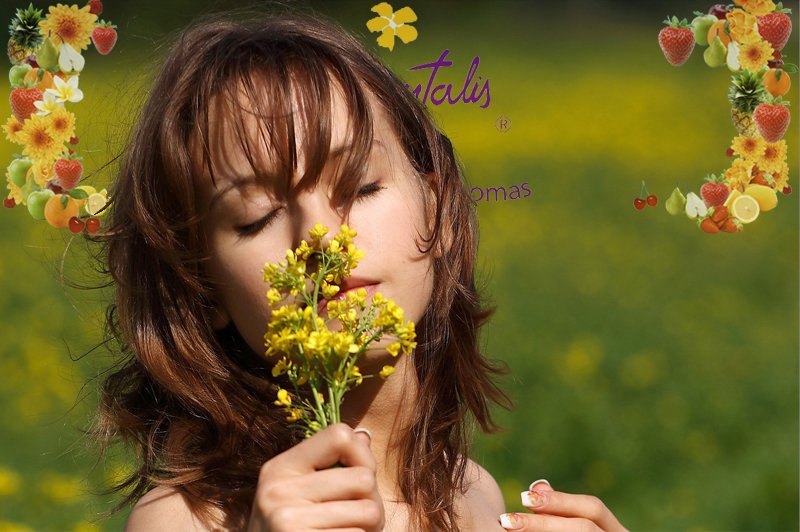 ambientalis-imagen-blog-flor