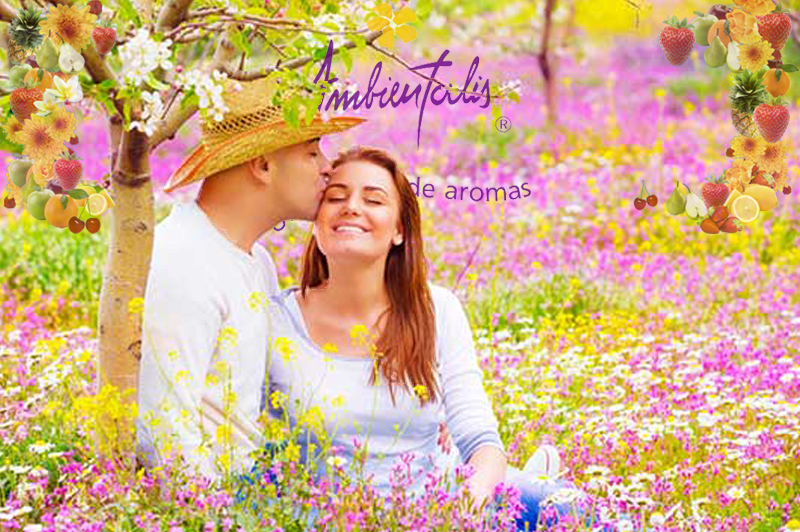 ambientalis-imagen-blog-pareja Fragancias para ambientes Venta mayorista de aromatizantes Fabrica de aromas