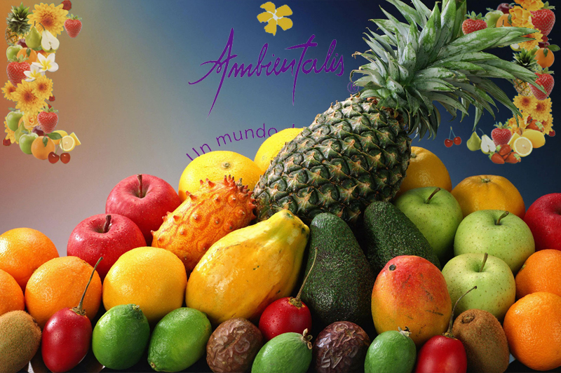 ambientalis-imagen-blog-tropicales Fabrica de fragancias para ambientes Aromatizadores digitales Venta mayorista