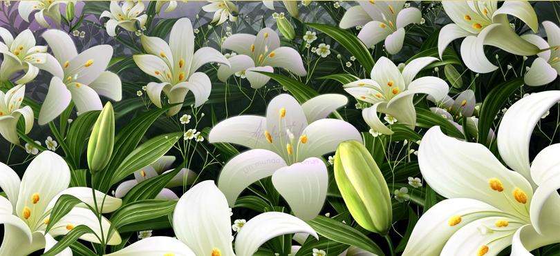 Flores Blancas